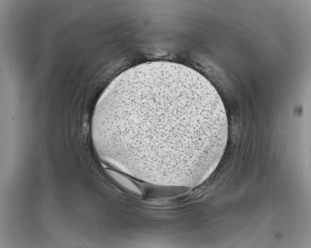 X0000097290085200803071740