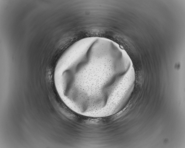 X0000097290086200803071740