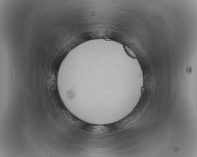 X0000097290087200803071740