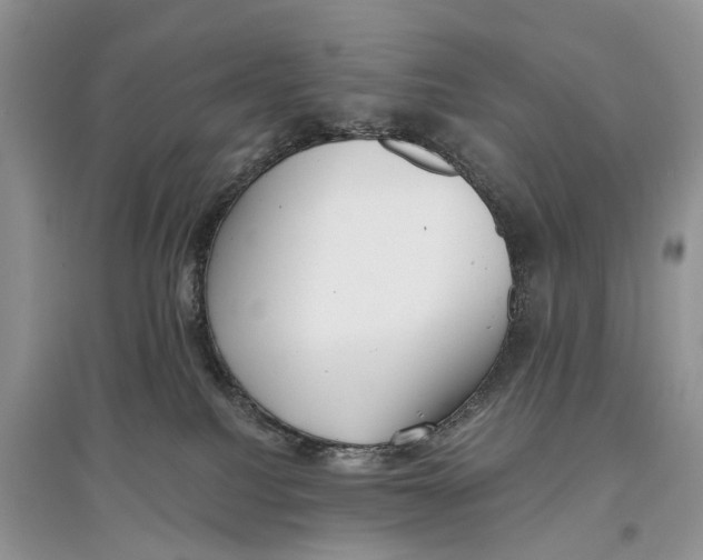 X0000097290088200803071741