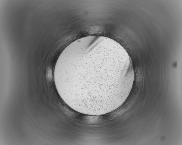 X0000097290089200803071741