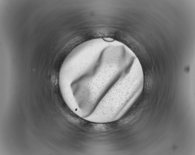 X0000097290091200803071741