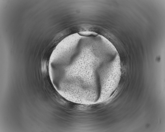 X0000097290094200803071741