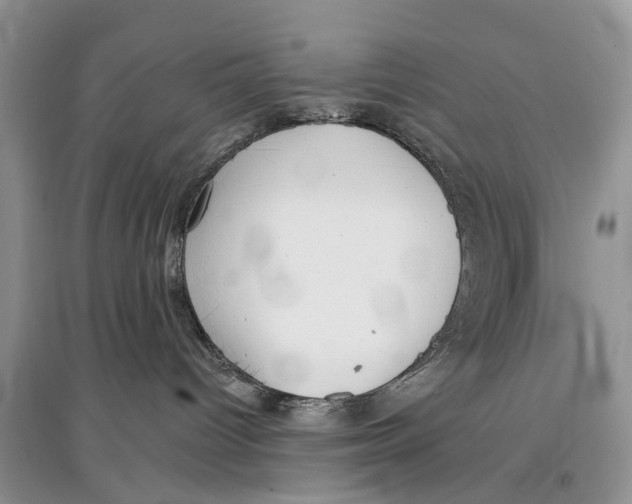 X0000097290096200803071741