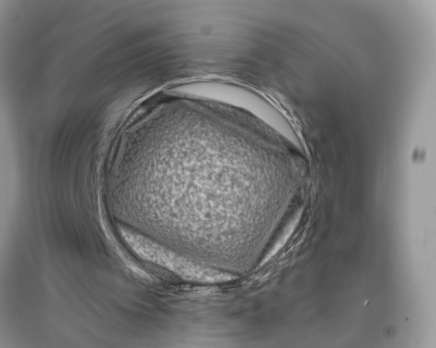 X0000097290097200803071740