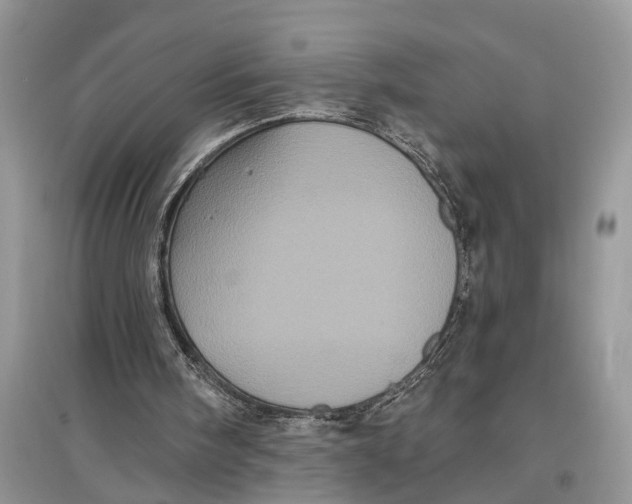 X0000097290098200803071740