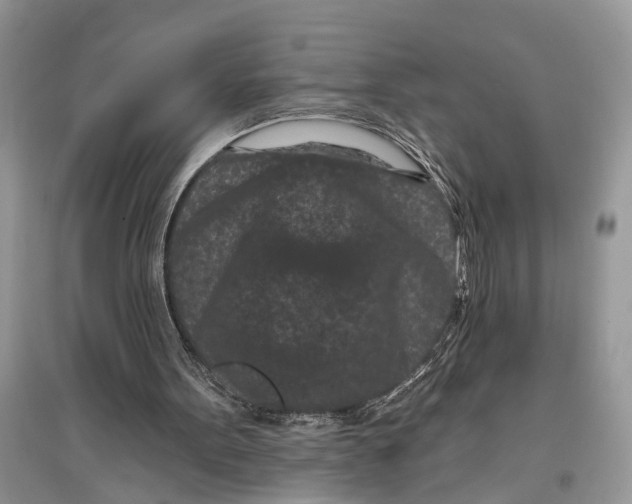 X0000097290099200803071740