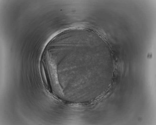 X0000097290100200803071740