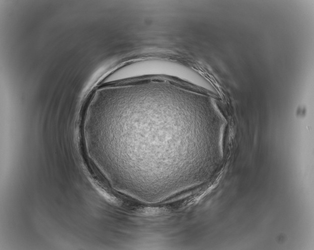 X0000097290101200803071740