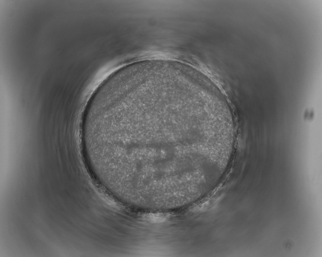 X0000097290103200803071740