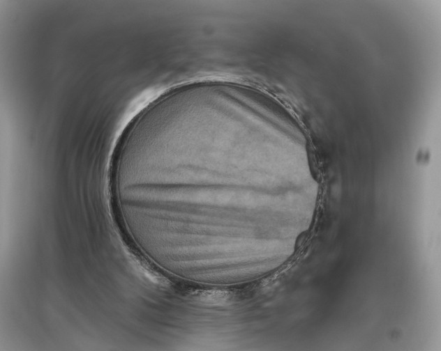 X0000097290104200803071740