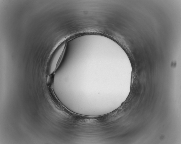 X0000097290108200803071740