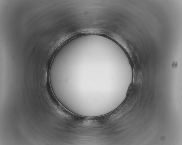 X0000097290109200803071740