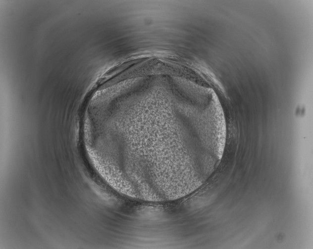 X0000097290110200803071740