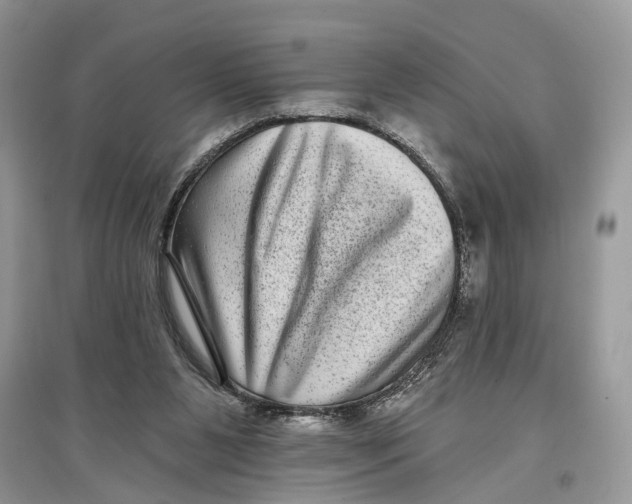 X0000097290111200803071740