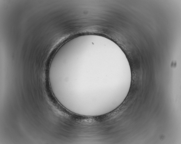 X0000097290112200803071740