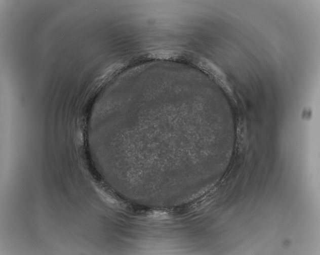 X0000097290114200803071740