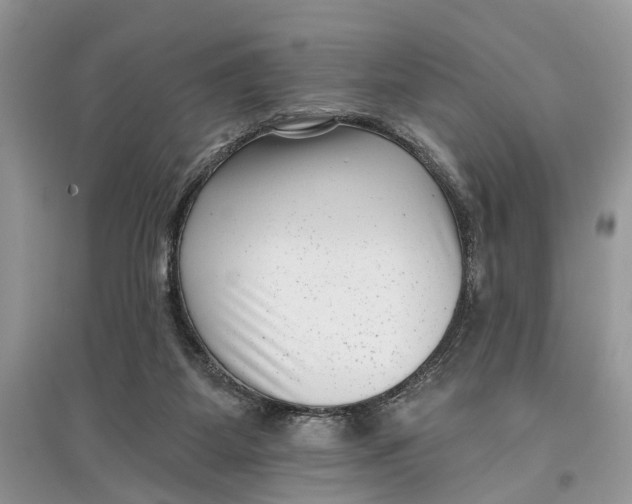 X0000097290115200803071740