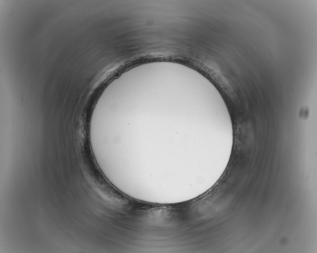 X0000097290116200803071740