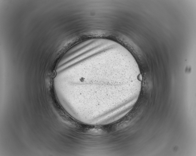 X0000097290119200803071740