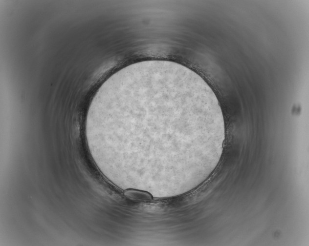 X0000097290120200803071740