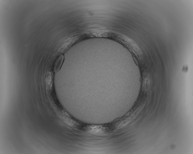 X0000097290121200803071740