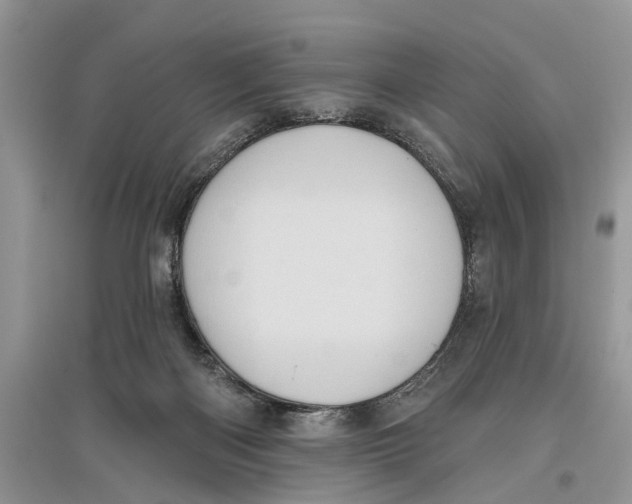 X0000097290122200803071740