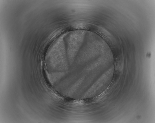 X0000097290124200803071740