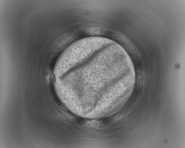 X0000097290125200803071740