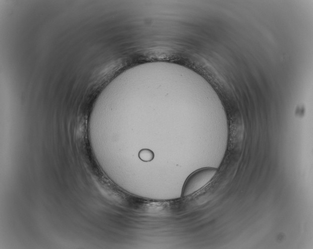 X0000097290126200803071740