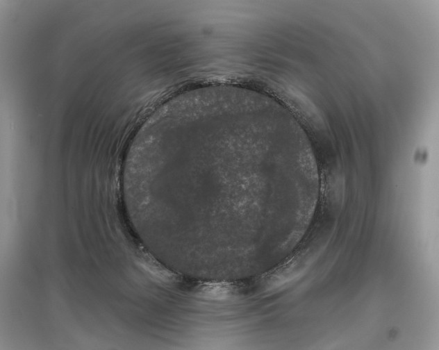 X0000097290127200803071740