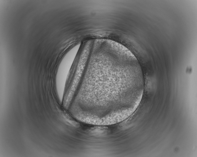 X0000097290128200803071739