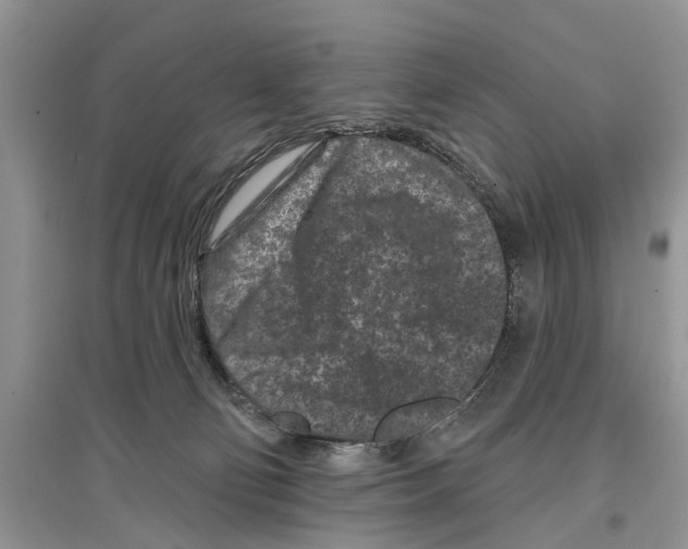 X0000097290130200803071739