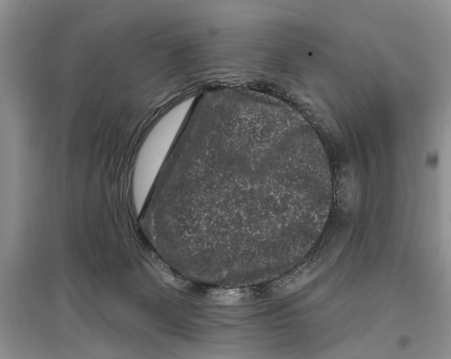 X0000097290131200803071739