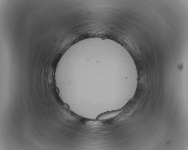 X0000097290133200803071739