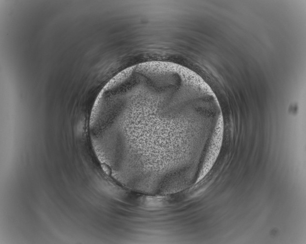 X0000097290134200803071739