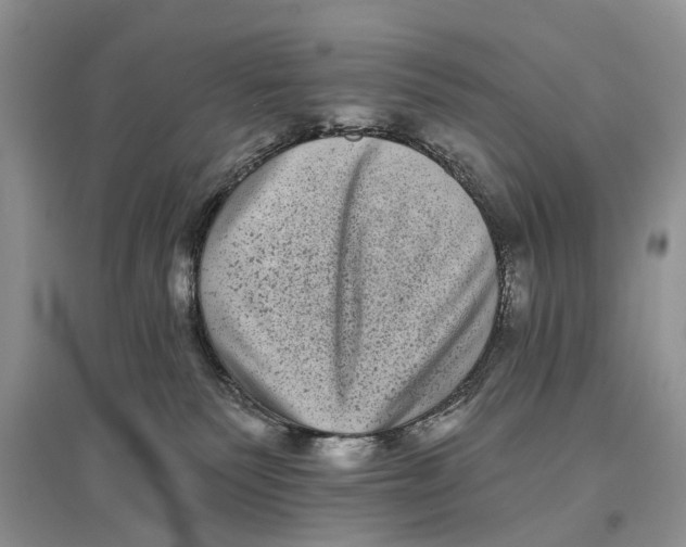 X0000097290135200803071739