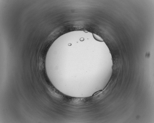 X0000097290136200803071739