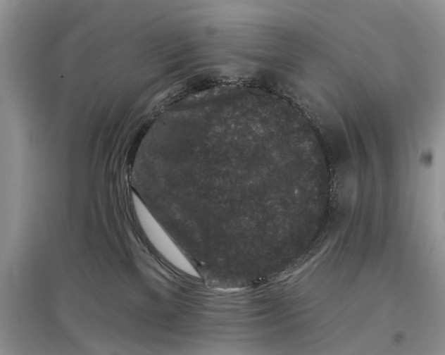 X0000097290137200803071739