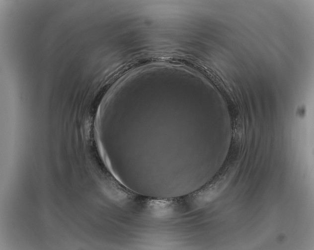 X0000097290139200803071739