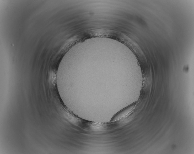 X0000097290142200803071739