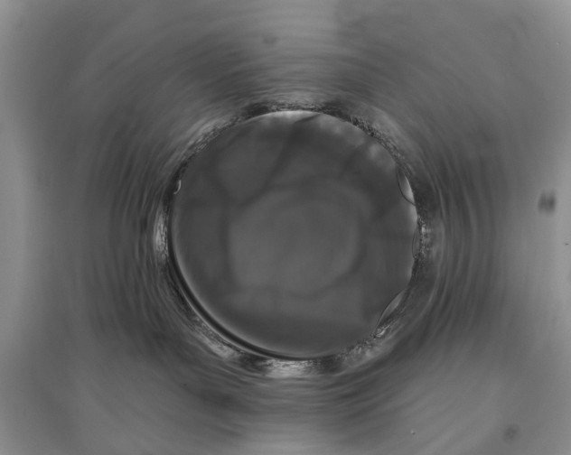 X0000097290143200803071739