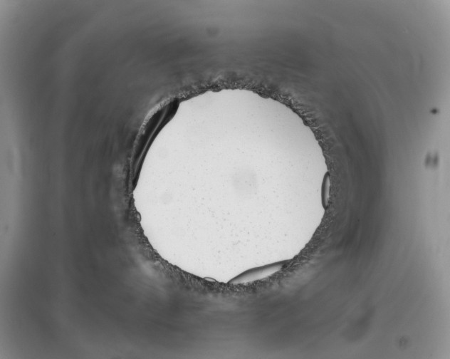 X0000097290144200803071739