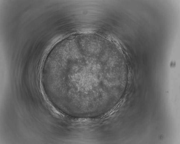 X0000097290145200803071739