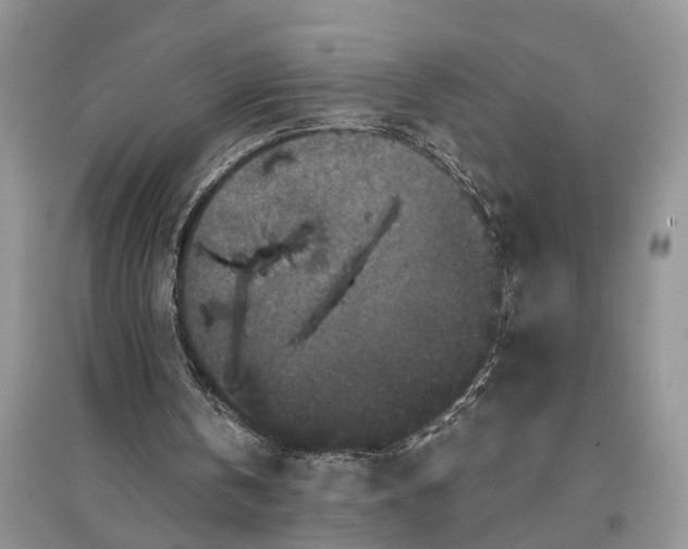 X0000097290146200803071739