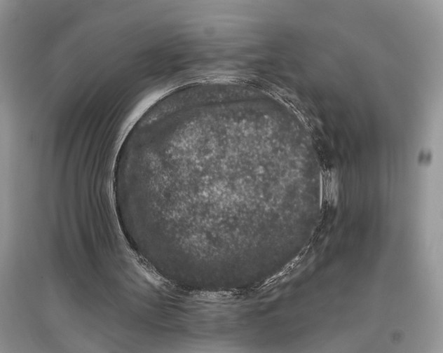 X0000097290147200803071739