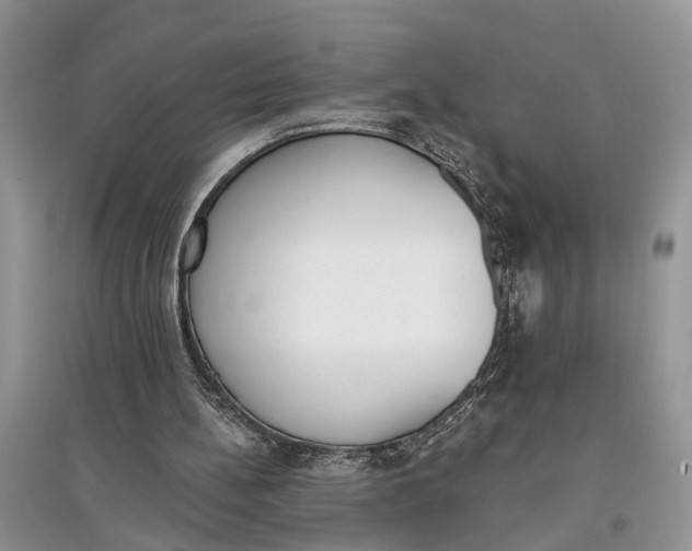 X0000097290148200803071739