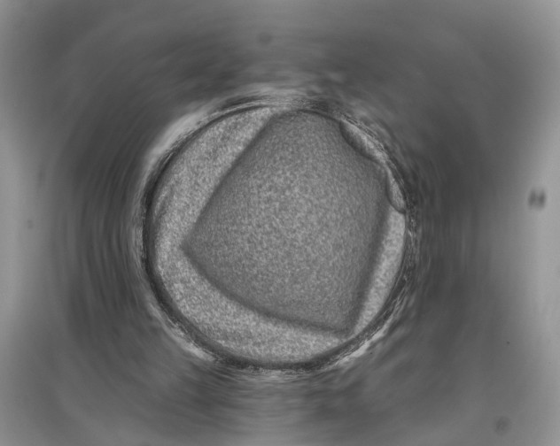 X0000097290149200803071739