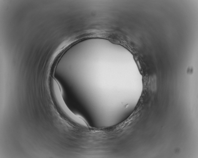 X0000097290150200803071739