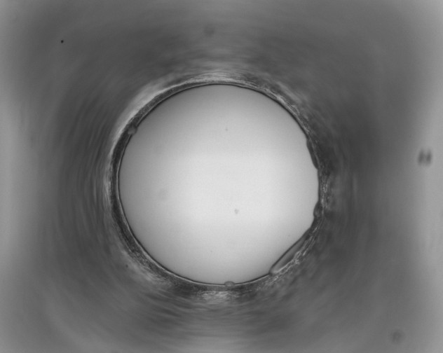 X0000097290152200803071739